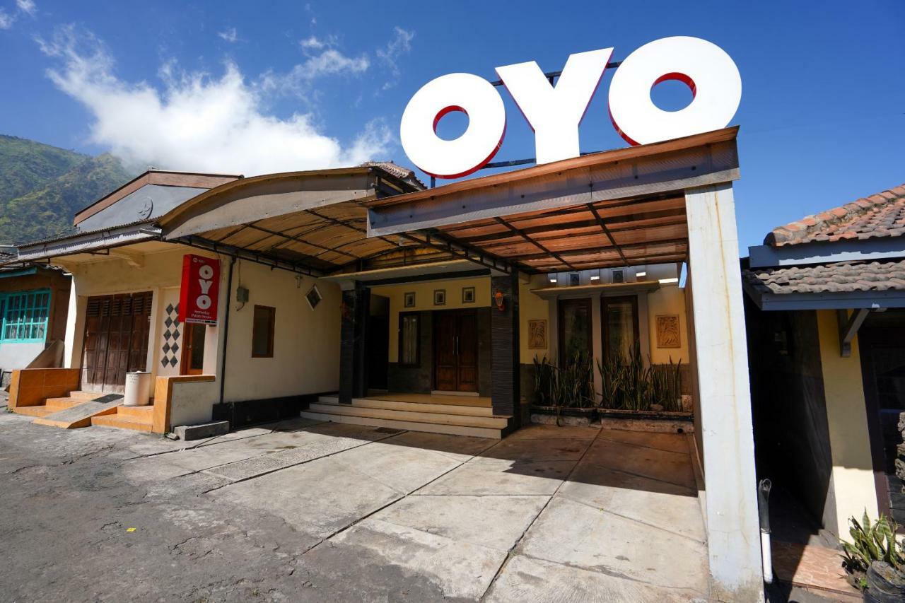 Oyo 1087 Homestay Potato House Bromo Eksteriør billede